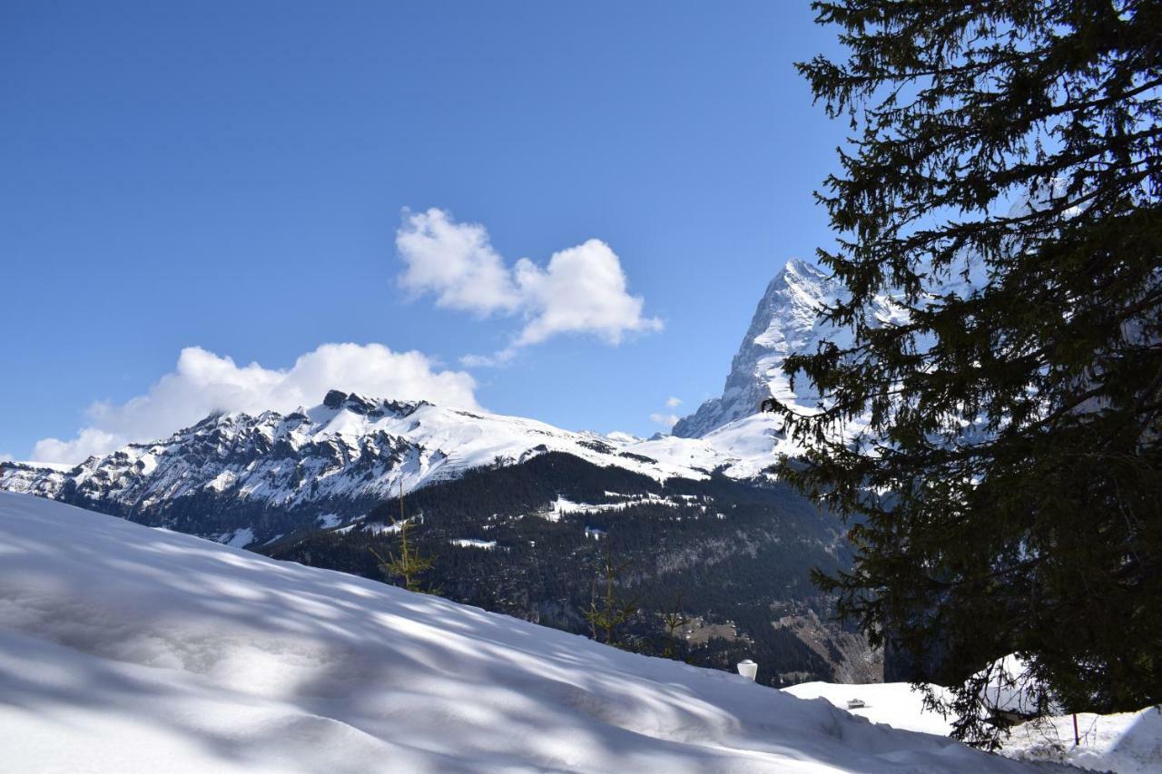 Sportlodge Muerren ภายนอก รูปภาพ